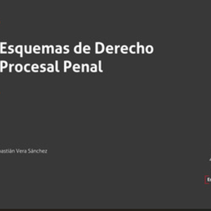Esquemas de Derecho Procesal Penal. Año 2022/ 196 Pág. Autor Juan Sebastián Vera Sánchez