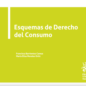 Esquemas de Derecho del Consumo. Año 2021/ 898 Pág. Autor Francisca María Barrientos Camus y María Elisa  Morales Ortiz