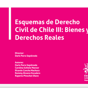 Esquemas de Derecho Civil de Chile III: Bienes y Derechos Reales Año 2021/ 392 Pág. Autor Darío Parra Sepúlveda