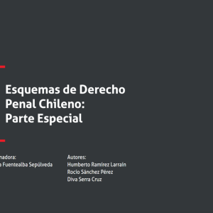 Esquemas de Derecho Penal Chileno: Parte especial Año 2022/ 222 Pág. Autor Valeska Fuentealba  Sepúlveda