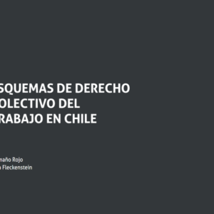 Esquemas de Derecho Colectivo del Trabajo de Chile. Año Octubre 2023/368 Pág. Autor Eduardo Caamaño Rojo Andrés Varela Fleckenstein