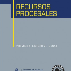 Recursos Procesales. Año 2024. Autor Eric Andrés Chávez Chávez
