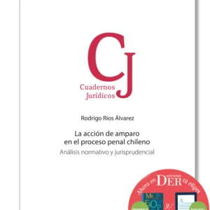 La Acción de Amparo en el Proceso Penal Chileno * Rodrigo Ríos Álvarez - 1° edición actualizada año 2025 - 244 Páginas.