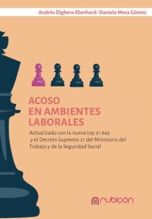Acoso en Ambientes Laborales - Andrés Dighero Eberhard – Daniela Mora Gómez - 175 Pág. año 2024