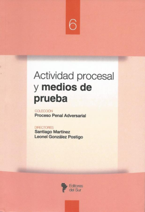 Actividad Procesal y Medios de Prueba - VI Tomos. Año 2023/ 453  Pág. Autor Santiago Martínez, Leonel González Postigo