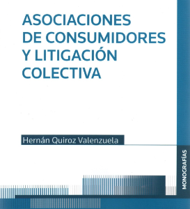 Asociaciones de Consumidores y Litigación Colectiva. Año 2022/450 Pág. Autor  Hernán Quiroz Valenzuela