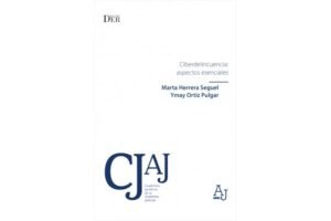 Ciberdelincuencia: Aspectos Esenciales * Marta Herrera Seguel - Ymay Ortiz Pulgar - 1° julio 2025 * 224 Pág.