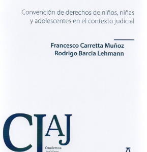 Convencion de Derechos de Niños, Niñas y Adolescentes en el contexto judicial. Año 2021/154 pág. Autor  Francesco Carretta Muñoz - Rodrigo Barcia Lehmann