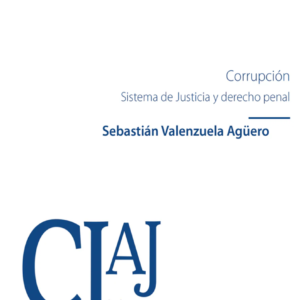 Corrupción. Sistema de Justicia y Derecho Penal. Año Junio 2024/ 354 Pág. Autor Sebastián Valenzuela Agüero