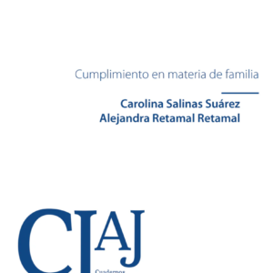 Cumplimiento en Materia de Familia. Año Junio 2024 / 206 Pág. Autor Carolina Salinas Suárez  y Alejandra Retamal Retamal