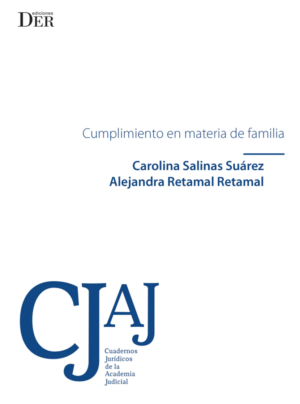 Cumplimiento en Materia de Familia. Año Junio 2024 / 206 Pág. Autor Carolina Salinas Suárez  y Alejandra Retamal Retamal