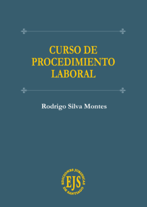 Curso de Procedimiento Laboral.  Año Mayo 2024/ 267 Pág. Autor Rodrigo Silva Montes