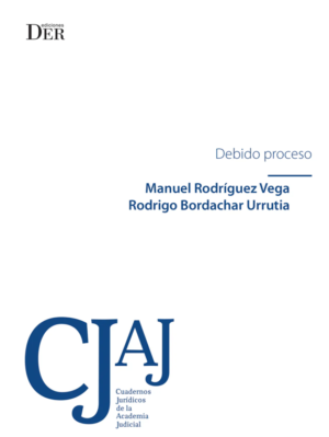 Debido Proceso. Año Junio 2024/ 334 Pág. Autor Manuel Rodríguez Vega y Rodrigo Bordachar Urrutia