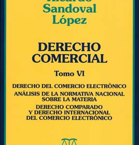 Derecho Comercial - Tomo VI - Derecho del comercio electrónico. Año Noviembre 2006/ 614 Pág. Autor Ricardo Sandoval López