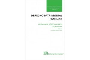 Derecho Patrimonial Familiar * Cristián Lepin Molina - Noviembre año 2025 * 587 Páginas