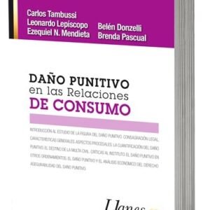Daño Punitivo en las Relaciones de Consumo - Belén Donzelli, Leonardo Lepiscopo, Ezequiel N Mendieta, Brenda Pascual, Carlos Eduardo Tambussi - edición actualizada año 2022 / 156 Páginas