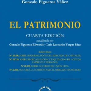 El Patrimonio. 4ta Edición Actualizada. Año 2021/675 Pág. Autor Gonzalo Figueroa Yáñez