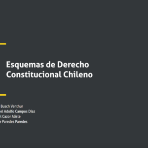 Esquemas de Derecho Constitucional Chileno. Año 2022/ 316 Pág. Autor Tania Busch Venthur, Manuel Adolfo  Campos Diaz, Kamel Cazor Aliste y Felipe Paredes Paredes.