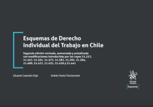 Esquemas de Derecho Individual del Trabajo en Chile 2ª Edición 2022 / 246 Pág. Autor Andrés Valera Fleckenstein y Eduardo Caamaño Rojo.