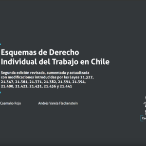 Esquemas de Derecho Individual del Trabajo en Chile 2ª Edición 2022 / 246 Pág. Autor Andrés Valera Fleckenstein y Eduardo Caamaño Rojo.