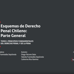Esquemas de Derecho Penal Chileno: Parte general Tomo I: Principios fundamentales del Derecho Penal y de la pena. Año 2022 / 196 Pág. Autor Valeska Fuentealba Sepúlveda