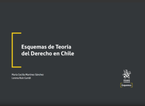 Esquemas de Teoría del Derecho en Chile. Año 2022/ 280 Pág. Autor María Cecilia Martínez Sánchez y  Lorena Ruiz  Guridi
