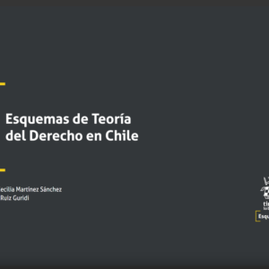 Esquemas de Teoría del Derecho en Chile. Año 2022/ 280 Pág. Autor María Cecilia Martínez Sánchez y  Lorena Ruiz  Guridi
