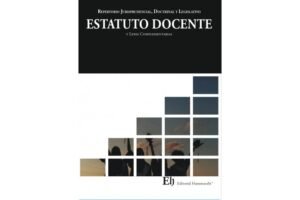 Estatuto Docente * Repertorio Jurisprudencial, Doctrinal y Legislativo * Editorial Hammurabi - edición actualizada año 2025 - 592 Pág.