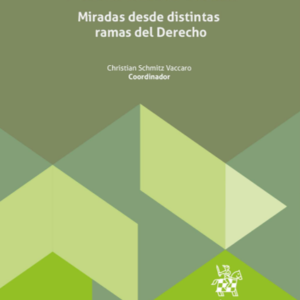 Estudios sobre Propiedad Intelectual, Nuevas Tecnologías y Cosas Incorporales. Miradas desde distintas Ramas del Derecho. Año Enero 2024/677 Pág. Autor Christian Schmitz Vaccaro