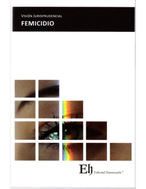 Visión Jurisprudencial - Femicidio. Año Noviembre 2023/ 208 Pág. Autor Editorial Hammurabi