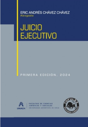 Juicio Ejecutivo - 1era Edición. Año 2024. Autor Eric Andrés Chávez Chávez
