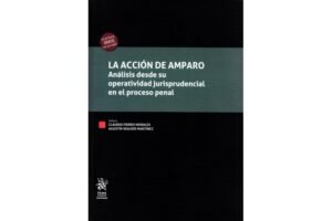 La Acción de Amparo * Análisis desde su Operatividad Jurisprudencial en el Proceso Penal * Claudio Fierro Morales - Agustín Walker Martínez