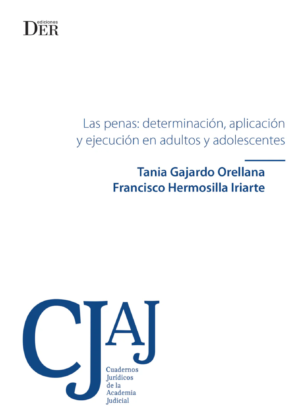 Las Penas - Determinación, Aplicación y Ejecución en adultos y adolescentes. Año Junio 2024/ 450Pág. Autor  Tania Gajardo Orellana  y Francisco Hermosilla Iriarte