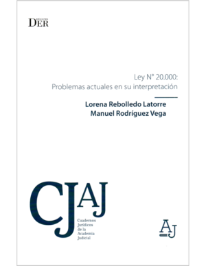 Ley Nro 20.000 -  Problemas Actuales en su Interpretación. Año 2023/198 Pág. Autor Lorena Rebolledo Latorre - Manuel Rodríguez Vega