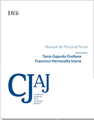 Manual de Procesal Penal. Año 2021/345 Pág. Autor Tania Gajardo Orellana y Francisco Hermosilla Iriarte