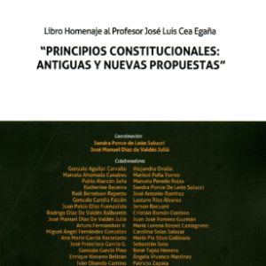 Principios Constitucionales: Antiguas y Nuevas Propuestas. Año 2023/ 652 Pág. Autor Sandra Ponce de León y José Manuel Díaz de Valdés Juliá