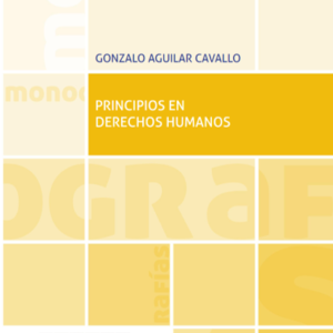 Principios en Derechos Humanos. Año Noviembre 2023/ 370 Pág. Autor Gonzalo Aguilar Cavallo