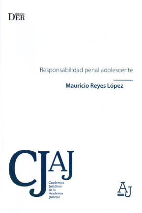 Responsabilidad Penal Adolescente. Año 2019/256 Pág. Autor Mauricio Reyes López
