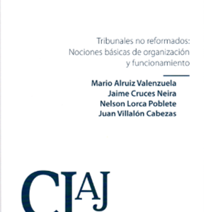 Tribunales No Reformados: Nociones Básicas de Organización y Funcionamiento. Año 2023/ 192 Pág. Autor Mario Alruiz Valenzuela - Jaime Cruces Neira - Nelson Lorca Poblete - Juan Villalón Cabezas