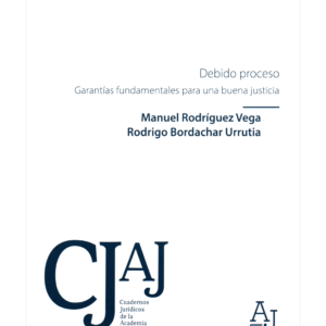 Debido Proceso - Garantías Fundamentales para una buena Justicia / Manuel Rodríguez Vega - Rodrigo Bordachar Urrutia, 334 Páginas - Junio año 2024