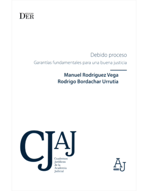 Debido Proceso - Garantías Fundamentales para una buena Justicia / Manuel Rodríguez Vega - Rodrigo Bordachar Urrutia, 334 Páginas - Junio año 2024