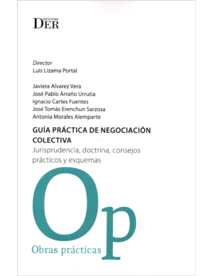 Guía Práctica de Negociación Colectiva - Jurisprudencia, Doctrina, Consejos Prácticos y Esquemas / Luis Lizama Portal - Julio 2024 / 224 Páginas