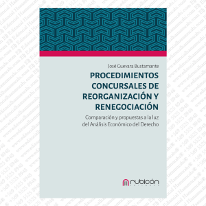 Procedimientos Concursales de Reorganización y Renegociación. Comparación y Propuestas a la Luz del Análisis Económico.
