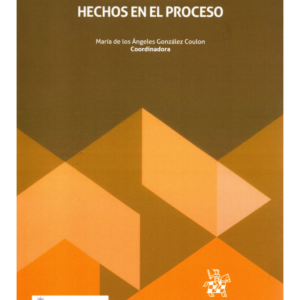 Testimonios: Ecos sobre los Hechos en el Proceso - María de los Ángeles González Coulon - Julio 2024 / 276 Páginas
