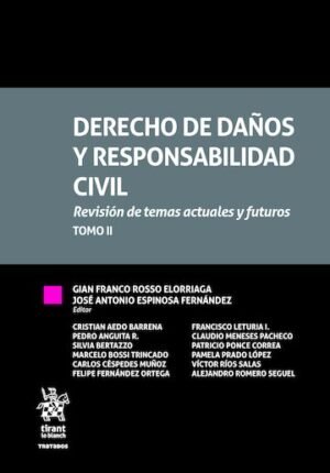 Derecho de Daños y Responsabilidad Civil. Revisión de Temas Actuales y Futuros. Tomo II - Junio Año 2026