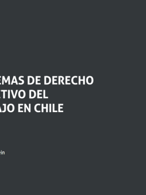 Esquemas de Derecho Colectivo del Trabajo de Chile. Año Octubre 2023/368 Pág. Autor Eduardo Caamaño Rojo Andrés Varela Fleckenstein