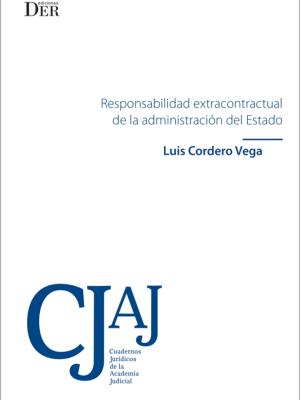 Responsabilidad Extracontractual de la Administración del Estado. Año 2018/276 Pág. Autor Luis Cordero  Vega